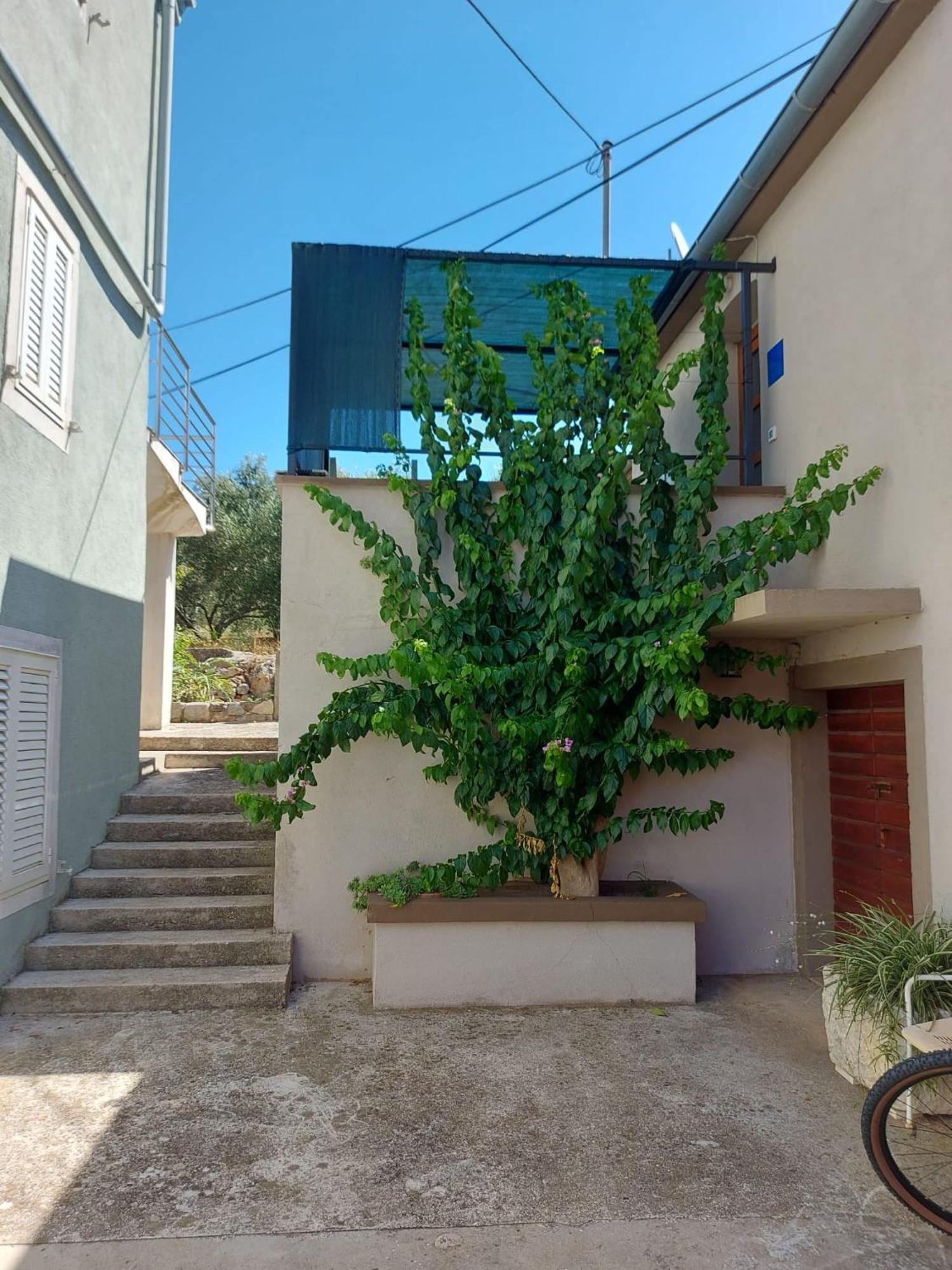 Apartmani Bugenvilija Brbinj Ngoại thất bức ảnh